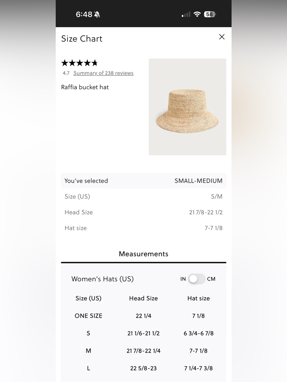 NWT Raffia bucket hat - Picture 4 of 8